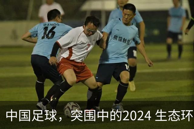 中国足球，突围中的2024 生态环境将实现好转