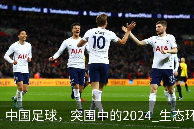 中国足球，突围中的2024 生态环境将实现好转